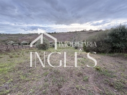 Moradia T2 - Achete, Santar�m, Santar�m - Miniatura: 17/24