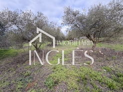 Moradia T2 - Achete, Santar�m, Santar�m - Miniatura: 18/24