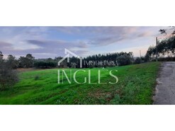 Terreno R�stico T0 - Outeiro da Corti�ada, Rio Maior, Santar�m - Miniatura: 2/7