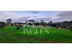 Terreno R�stico T0 - Outeiro da Corti�ada, Rio Maior, Santar�m - Miniatura: 7/7