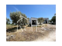 Armaz�m T0 - S. Vicente do Pa�l, Santar�m, Santar�m - Miniatura: 2/11