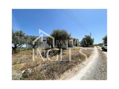 Armaz�m T0 - S. Vicente do Pa�l, Santar�m, Santar�m - Miniatura: 3/11