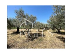 Armaz�m T0 - S. Vicente do Pa�l, Santar�m, Santar�m - Miniatura: 6/11