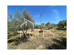 Armaz�m T0 - S. Vicente do Pa�l, Santar�m, Santar�m - Miniatura: 7/11