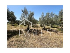 Armaz�m T0 - S. Vicente do Pa�l, Santar�m, Santar�m - Miniatura: 8/11