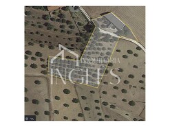 Armaz�m T0 - S. Vicente do Pa�l, Santar�m, Santar�m - Miniatura: 11/11