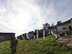 Moradia T1 - P�voa da Isenta, Santar�m, Santar�m - Miniatura: 2/19