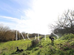 Moradia T1 - P�voa da Isenta, Santar�m, Santar�m - Miniatura: 3/19