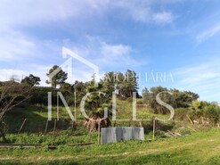 Moradia T1 - P�voa da Isenta, Santar�m, Santar�m - Miniatura: 4/19