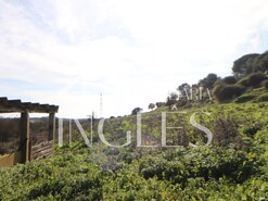 Moradia T1 - P�voa da Isenta, Santar�m, Santar�m - Miniatura: 6/19