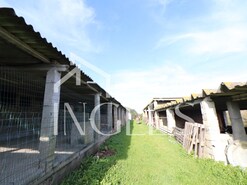 Moradia T1 - P�voa da Isenta, Santar�m, Santar�m - Miniatura: 8/19