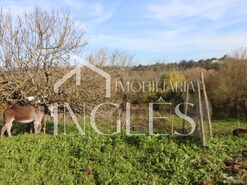 Moradia T1 - P�voa da Isenta, Santar�m, Santar�m - Miniatura: 10/19