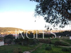 Terreno R�stico T0 - Vale de Santar�m, Santar�m, Santar�m - Miniatura: 2/7