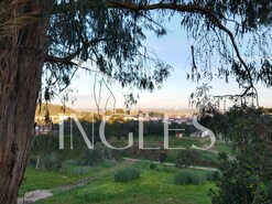 Terreno R�stico T0 - Vale de Santar�m, Santar�m, Santar�m - Miniatura: 3/7