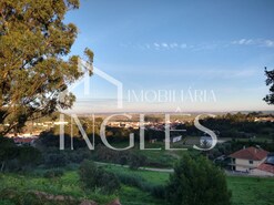 Terreno R�stico T0 - Vale de Santar�m, Santar�m, Santar�m - Miniatura: 5/7