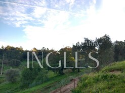 Terreno R�stico T0 - Vale de Santar�m, Santar�m, Santar�m - Miniatura: 6/7