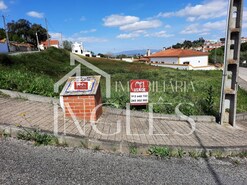 Terreno Urbano T0 - Chamusca, Chamusca, Santar�m - Miniatura: 8/8