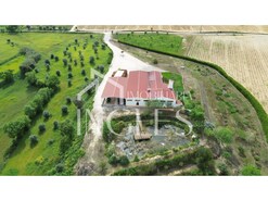 Armaz�m T0 - Almoster, Santar�m, Santar�m - Miniatura: 1/24