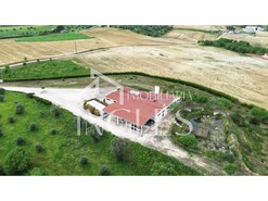 Armaz�m T0 - Almoster, Santar�m, Santar�m - Miniatura: 3/24