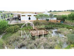 Armaz�m T0 - Almoster, Santar�m, Santar�m - Miniatura: 5/24