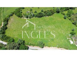 Terreno R�stico T0 - Achete, Santar�m, Santar�m - Miniatura: 2/11