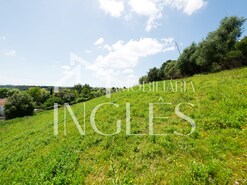 Terreno R�stico T0 - Achete, Santar�m, Santar�m - Miniatura: 8/11