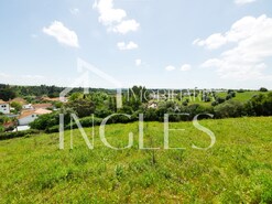 Terreno R�stico T0 - Achete, Santar�m, Santar�m - Miniatura: 10/11