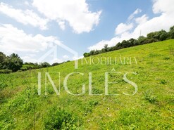 Terreno R�stico T0 - Achete, Santar�m, Santar�m - Miniatura: 11/11