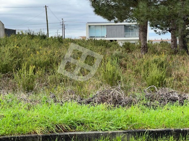 Terreno Rstico - Santa Joana, Aveiro, Aveiro - Imagem grande