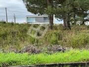 Terreno Rstico - Santa Joana, Aveiro, Aveiro - Miniatura: 8/9