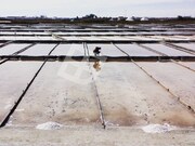 Terreno Urbano - Santa Joana, Aveiro, Aveiro - Miniatura: 6/9