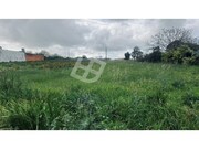 Terreno Rstico - Cacia, Aveiro, Aveiro - Miniatura: 4/5