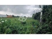 Terreno Rstico - Cacia, Aveiro, Aveiro - Miniatura: 5/5