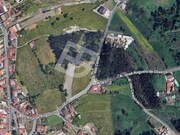Terreno R�stico - REQUEIXO, NOSSA SENHORA DE F�TIMA E NARIZ, Aveiro, Aveiro - Miniatura: 6/9