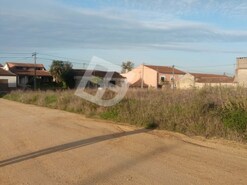 Terreno R�stico - Palha�a, Oliveira do Bairro, Aveiro