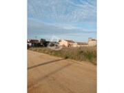 Terreno R�stico - Palha�a, Oliveira do Bairro, Aveiro - Miniatura: 1/9