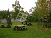 Terreno R�stico - Palha�a, Oliveira do Bairro, Aveiro - Miniatura: 2/9