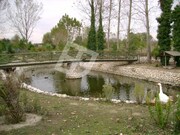 Terreno R�stico - Palha�a, Oliveira do Bairro, Aveiro - Miniatura: 3/9
