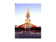 Terreno R�stico - Palha�a, Oliveira do Bairro, Aveiro - Miniatura: 9/9