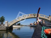 Apartamento T3 - Esgueira, Aveiro, Aveiro - Miniatura: 9/9