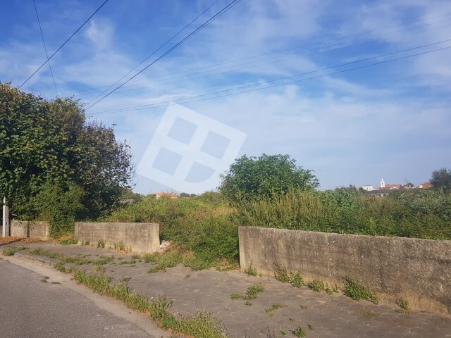 Terreno R�stico - Aradas, Aveiro, Aveiro - Imagem grande
