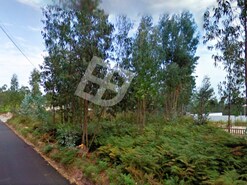 Terreno R�stico - Albergaria-a-Velha, Albergaria-a-Velha, Aveiro