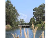 Terreno Rstico - Cacia, Aveiro, Aveiro - Miniatura: 6/9