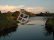 Terreno Rstico - Cacia, Aveiro, Aveiro - Miniatura: 8/9