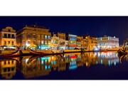 Terreno Rstico - Oliveirinha, Aveiro, Aveiro - Miniatura: 3/9