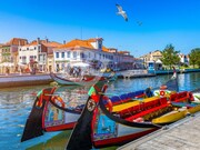 Terreno Rstico - Oliveirinha, Aveiro, Aveiro - Miniatura: 4/9