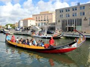Terreno Rstico - Oliveirinha, Aveiro, Aveiro - Miniatura: 5/9