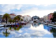 Terreno Rstico - Oliveirinha, Aveiro, Aveiro - Miniatura: 7/9