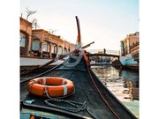 Terreno R�stico - Aradas, Aveiro, Aveiro - Miniatura: 8/9
