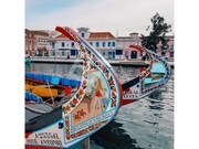Terreno R�stico - Aradas, Aveiro, Aveiro - Miniatura: 9/9